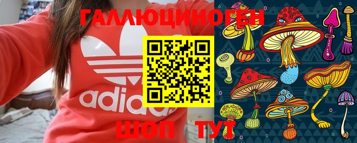 Вологда  даркнет сайт  Галлюциногенные грибы мухоморы  Вход с VPN  Галлюциногенные грибы мицелий 