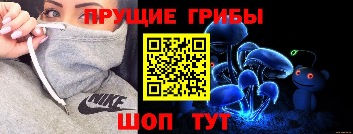 Галлюциногенные грибы Cubensis Вологда