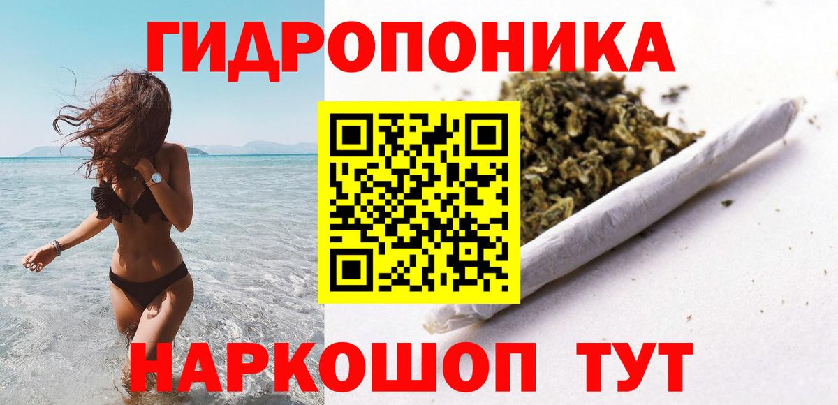 Шишки марихуана планчик Вологда